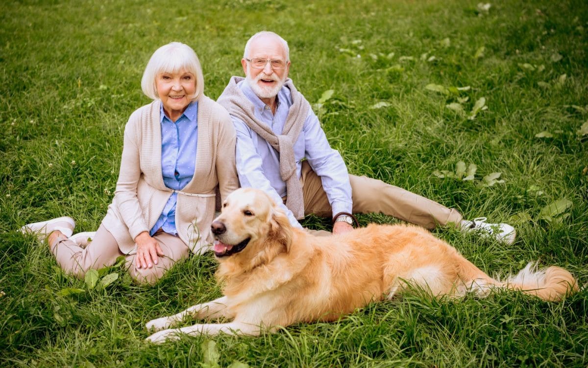 pr2yk-68b6b9bcb5b82-LS86j