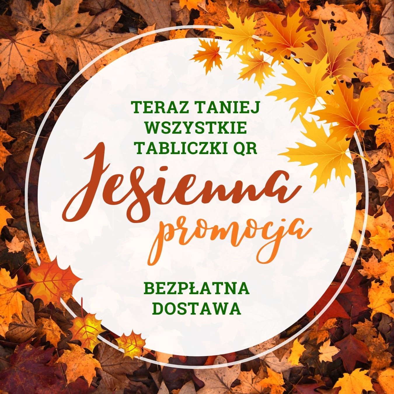 Jesienna promocja w saQRum